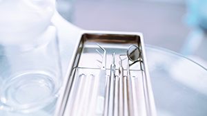 Plateau d’instruments dentaires stérilisés prêt pour un soin